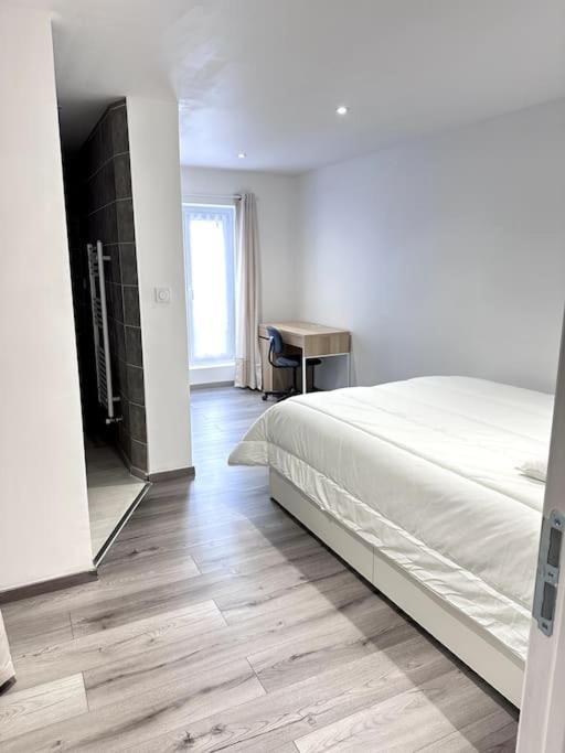 Appartement T4 En Hyper-Centre Bourgoin-Jallieu Zewnętrze zdjęcie